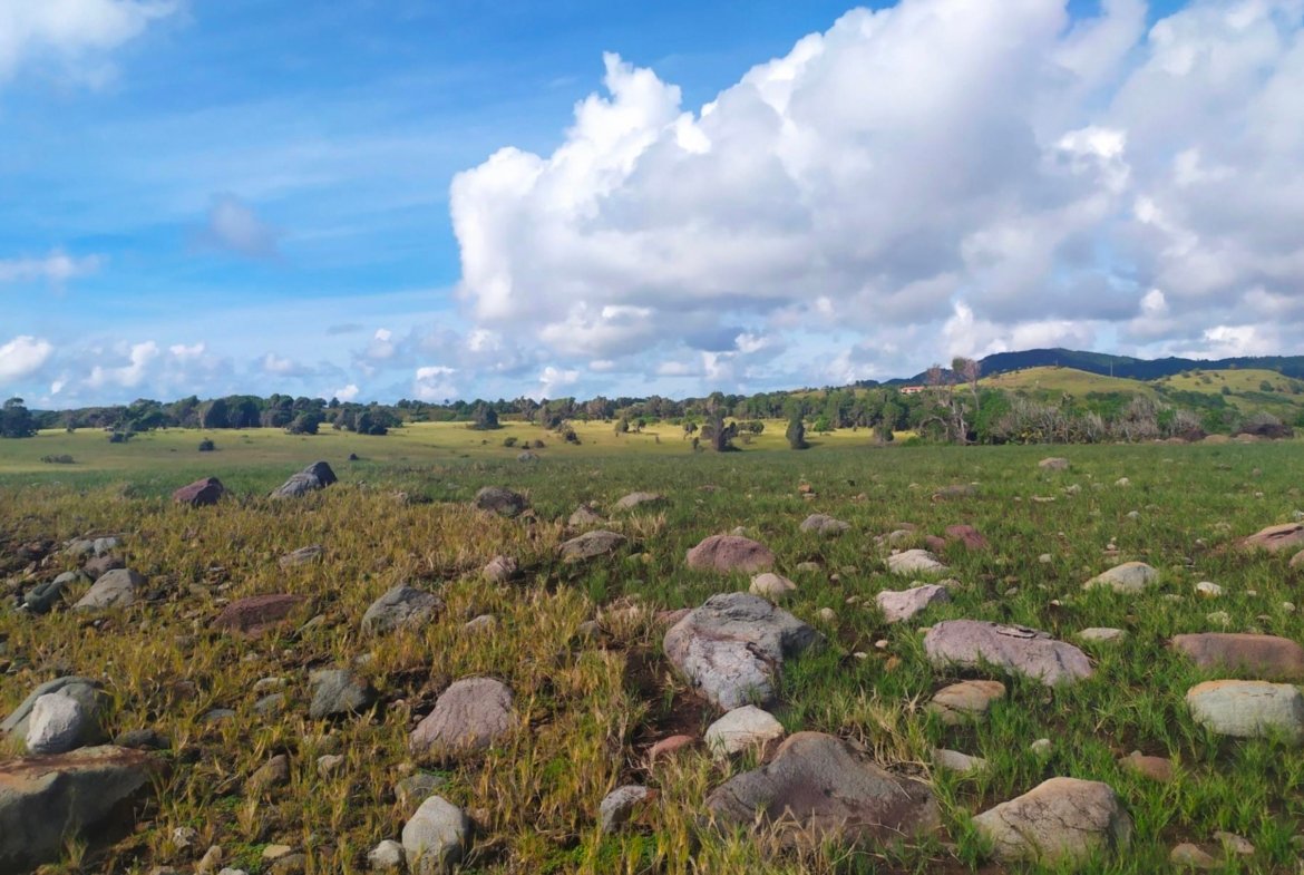 84 acres of land for sale in Micoud - Honeymoon Beach